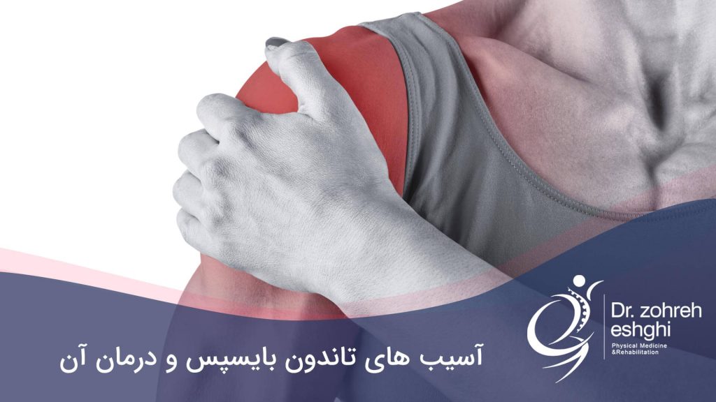 تاندون بایسپس