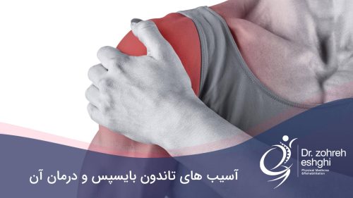 تاندون بایسپس