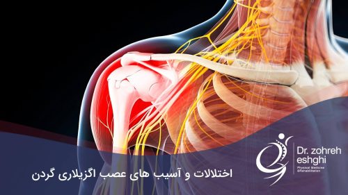 عصب اگزیلاری
